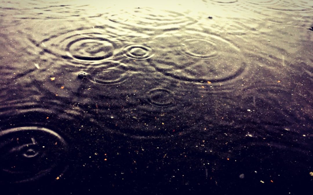 wet weather tips and tricks