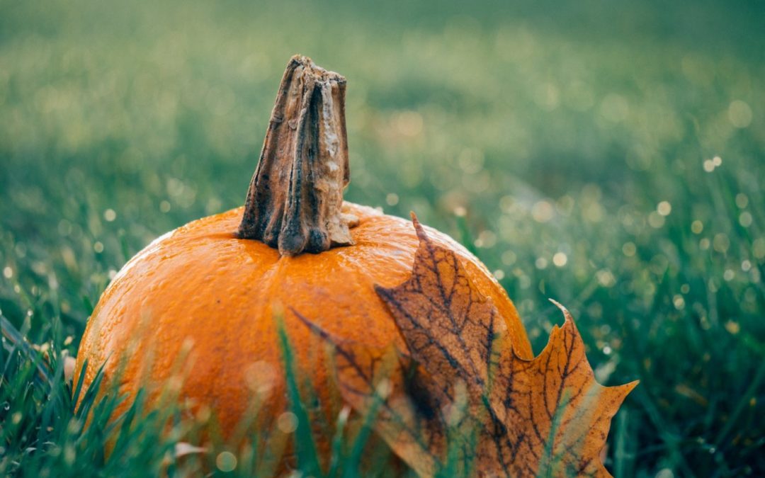 October Events Victoria