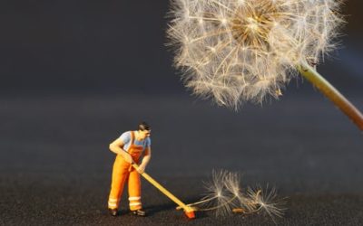 Spring is near… and with spring, comes spring cleaning