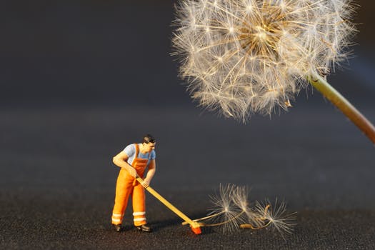 Spring is near… and with spring, comes spring cleaning